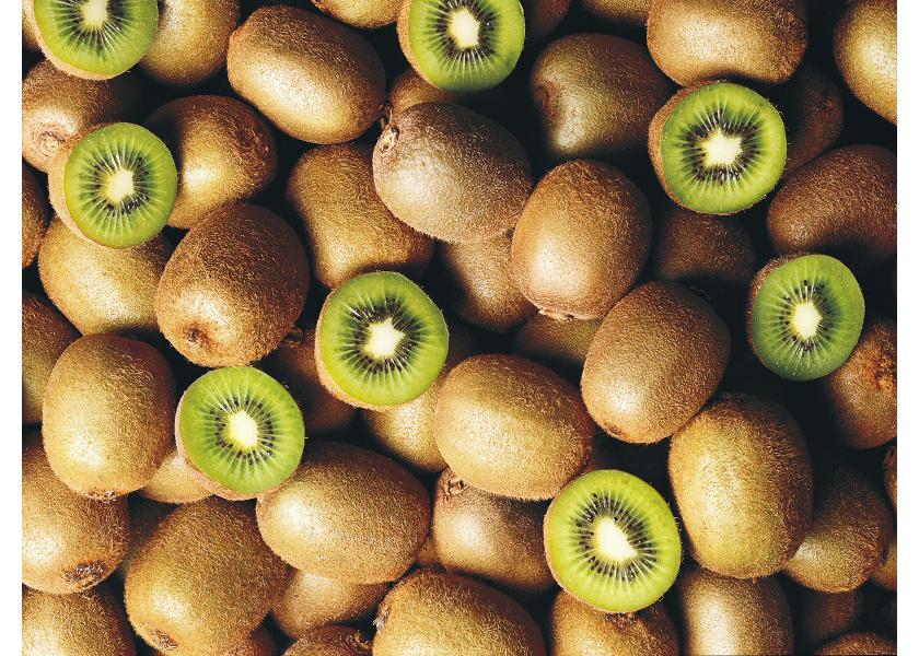 Chilean kiwifruit season in full swing The Packer